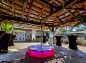 All Star Stage 5x5 pink delight portable stripper pole on deck